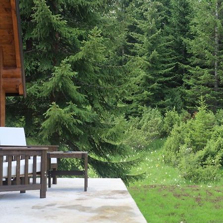 Vila Vikendice Mali Raj Žabljak Exteriér fotografie