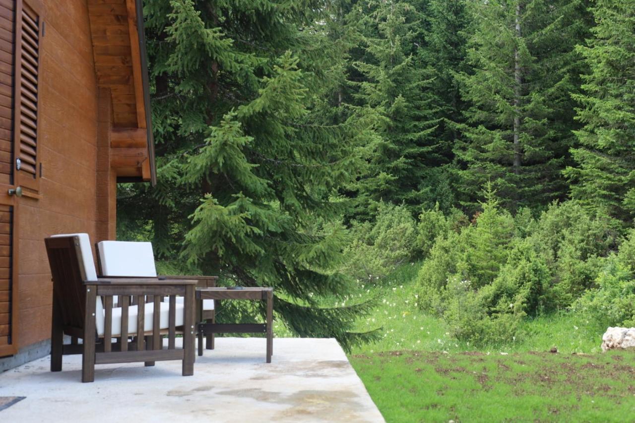 Vila Vikendice Mali Raj Žabljak Exteriér fotografie